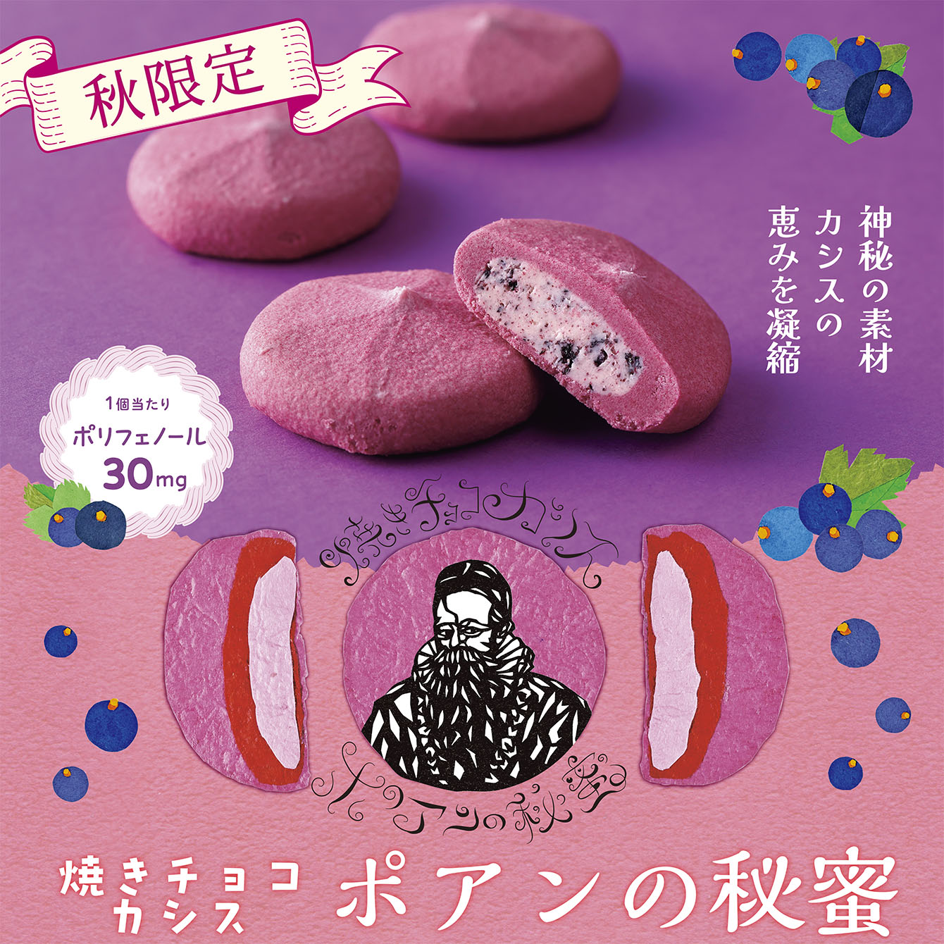 焼きチョコカシス　ポアンの秘蜜　4個入