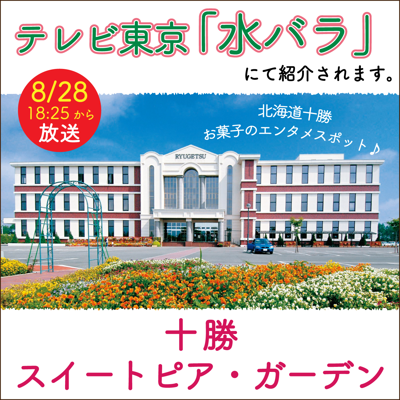 20240827ガーデン店水バラ.jpg